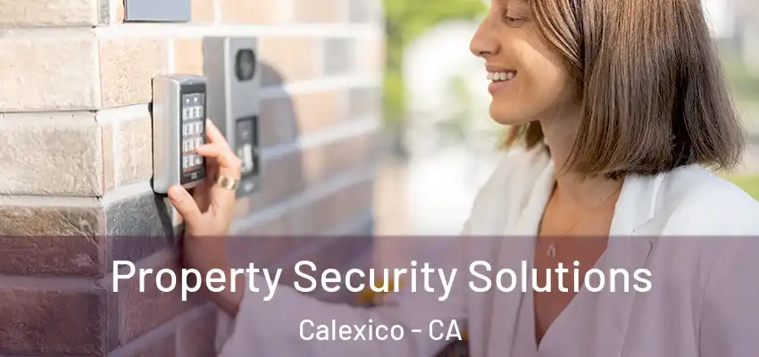  Property Security Solutions Calexico - CA